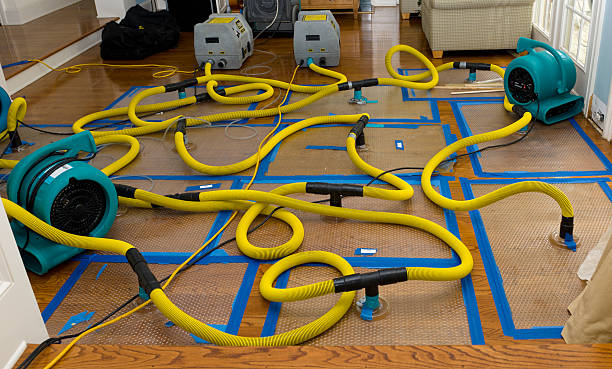 Professional Water Extraction technician working in Jacksonville, NC